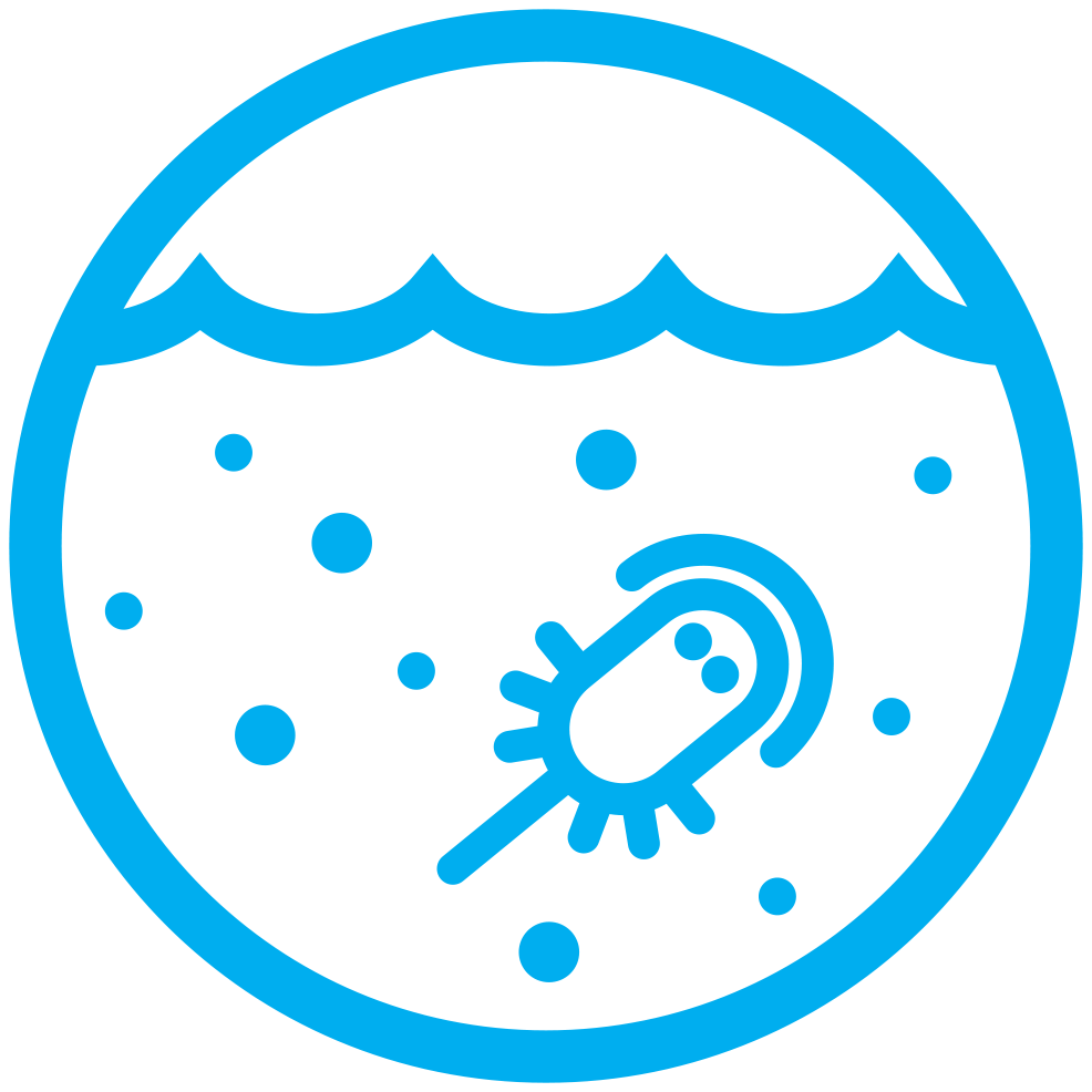 Biogeochemistry Ocean